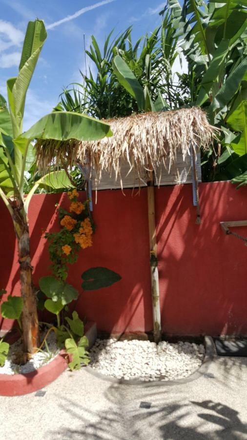 Sunflower Stay And Surf Canggu Exterior foto